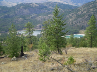 Heading back down, view of Mahoney Lake on the left, Mt Keogan 2011-10.